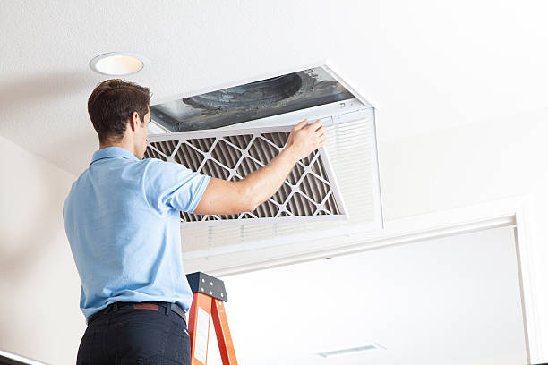 Best Air Filters and Purifiers in The Hills, TX